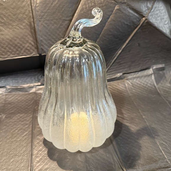New Pottery Barn Frosted Glass Pumpkin Gourd Cloche/...